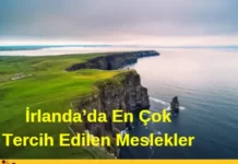İrlanda’da En Çok Tercih Edilen Meslekler Tercih Edilen Meslekler