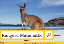 Kanguru Matematik Sınavı