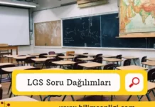 LGS Sorularının Ders Konularına Göre Dağılımları LGS Soru Dağılımları