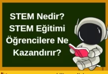 STEM Nedir? STEM Eğitimi Öğrencilere Ne Kazandırır? STEM
