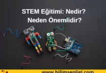 STEM Eğitimi