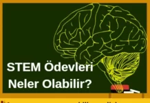 STEM Ödevleri