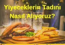 Yiyeceklerin Tadını Nasıl Alıyoruz? Yiyeceklerin tadını
