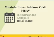 Burs Başvurusu