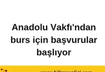 burs başvurusu