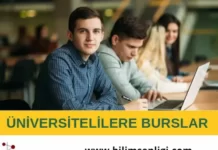 üniversite bursu