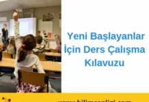 Ders çalışma