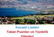 Kocaeli Liseleri