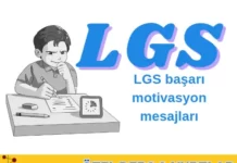 LGS başarı
