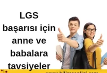 LGS başarısı