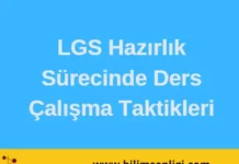 Ders Çalışma Taktikleri