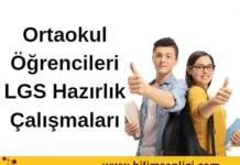 LGS Hazırlık Çalışmaları