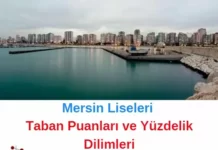 Mersin Liseleri