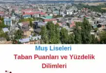 Muş Liseleri
