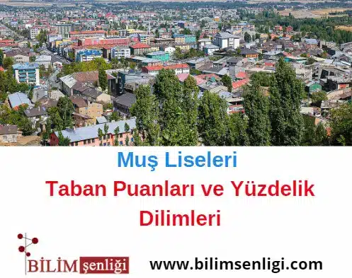 mus-liseleri Muş Liseleri