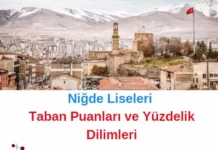 Niğde liseleri