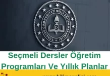 Seçmeli Dersler