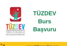Burs Başvuru