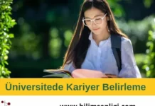 Kariyer