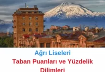 Ağrı Liseleri