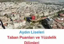 Aydın Liseleri
