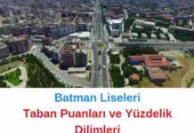 Batman Liseleri