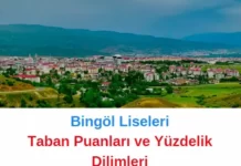 Bingöl Liseleri