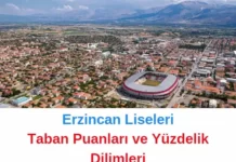 Erzincan Liseleri