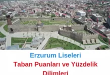 Erzurum Liseleri