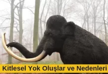 kitlesel yok oluşlar