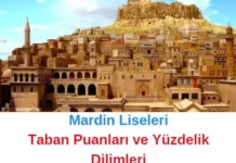Mardin Liseleri