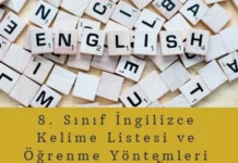 8. Sınıf İngilizce Kelime