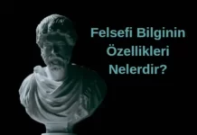 Felsefi Bilgi