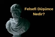 Felsefi Düşünce