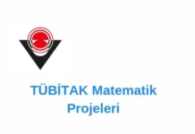 TÜBİTAK Matematik Projelerinde Dikkat Edilmesi Gereken Önemli Noktalar TÜBİTAK Matematik Projeleri