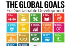 Model United Nations