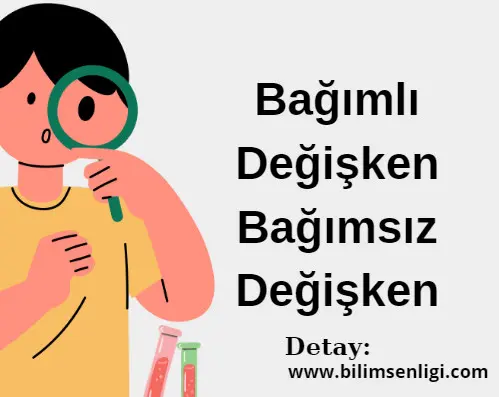 bagimli-degisken-bagimsiz-degisken Bağımlı Değişken Bağımsız Değişken