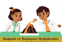 Bağımlı ve Bağımsız Değişkenler Arasındaki İlişki Nedir? Bağımlı ve bağımsız değişkenler