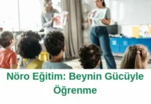 Nöro Eğitim: Beynin Gücüyle Öğrenme Nöro Eğitim