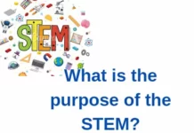 What is the purpose of the STEM? STEM