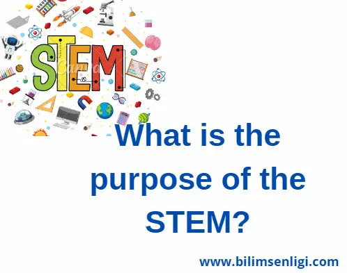 stem STEM