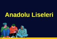 Anadolu liseleri