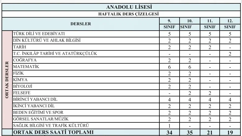 Anadolu Liseleri Nedir? Anadolu Liseleri Taban Puanları 2024 1 Anadolu liseleri