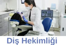 Diş Hekimliği Bölümü Neden Tercih Etmeliyim? Diş Hekimliği