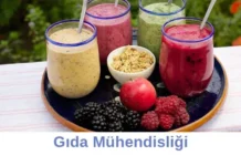Gıda Mühendisliği Bölümü Neden Tercih Etmeliyim? Gıda Mühendisliği