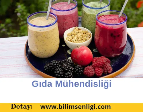 Gıda Mühendisliği