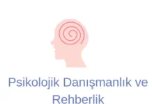 Psikolojik Danışmanlık ve Rehberlik (PDR)