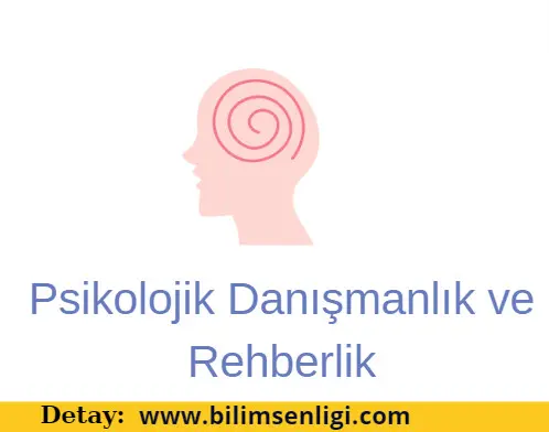 Psikolojik Danışmanlık ve Rehberlik (PDR)