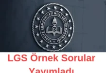 LGS Örnek Sorular