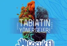 Resim Yarışması